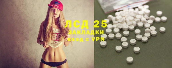 шишки Алексин