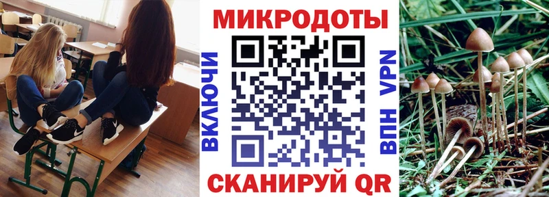 Галлюциногенные грибы Psilocybe  Геленджик 