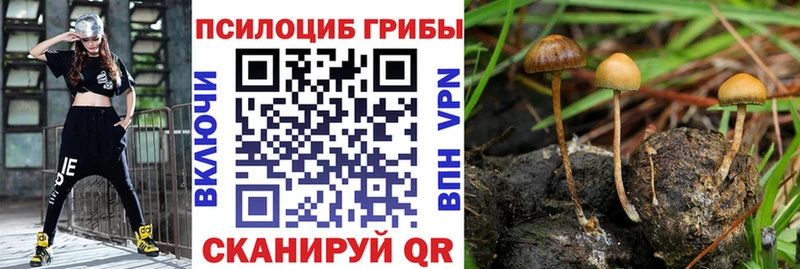 Псилоцибиновые грибы MAGIC MUSHROOMS Геленджик